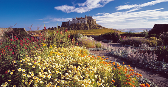 Gertrude Jekyll's garden on Lindisfarne